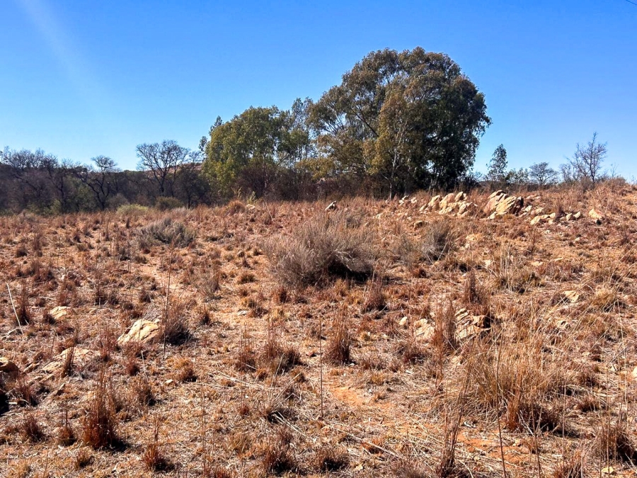 0 Bedroom Property for Sale in Parys Free State